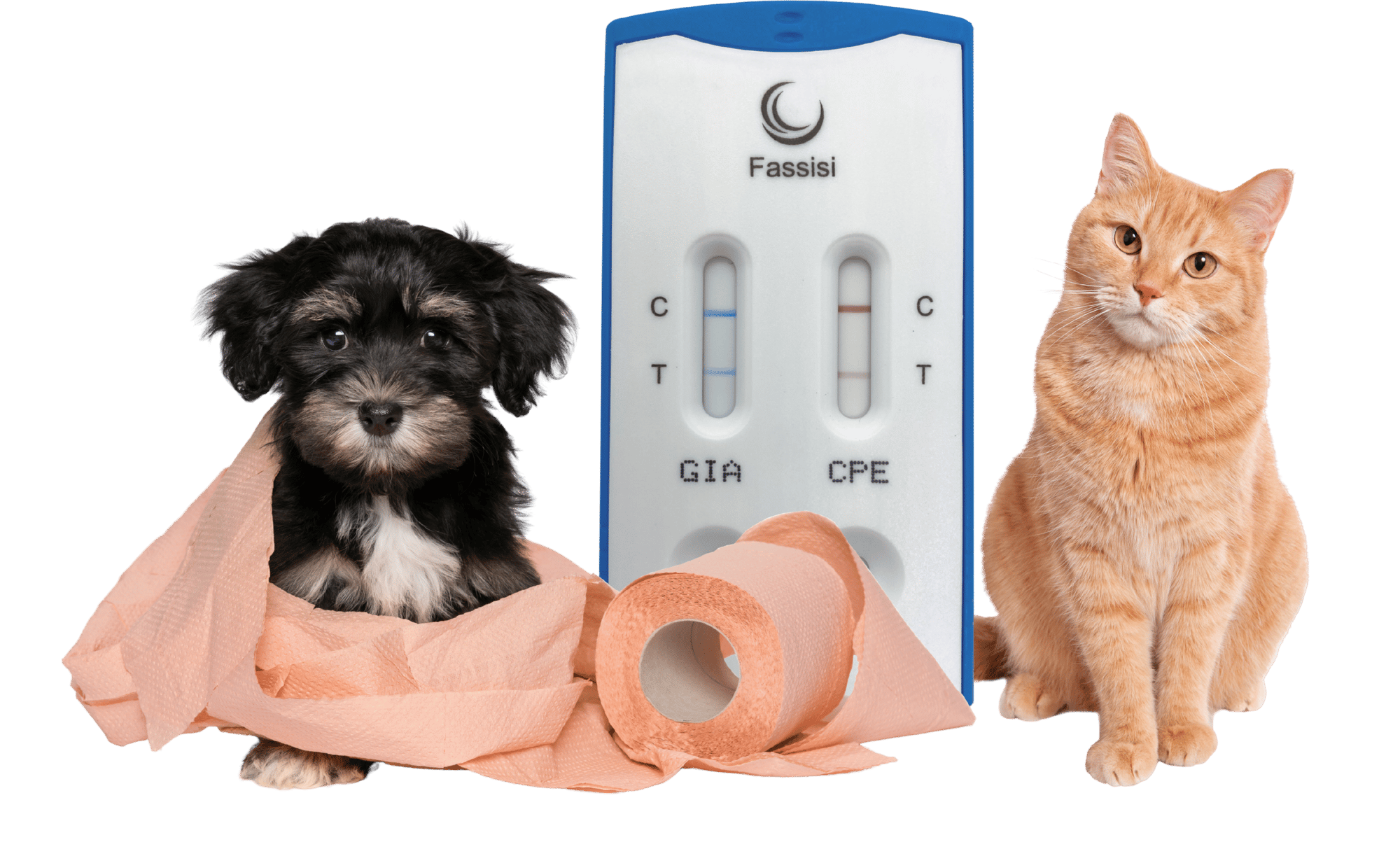 8b8265fb-6c5e-4c98-9704-f1ab6c115fec 8b8265fb-6c5e-4c98-9704-f1ab6c115fec